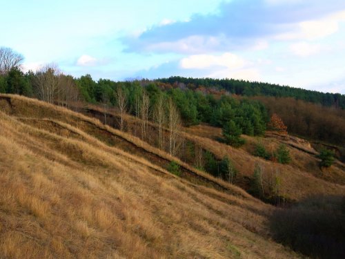 Ноябрь, Белгородская область