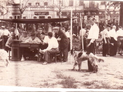 Выставка охотничьих собак Томска. 1955 год. Набережная р.Ушайки.