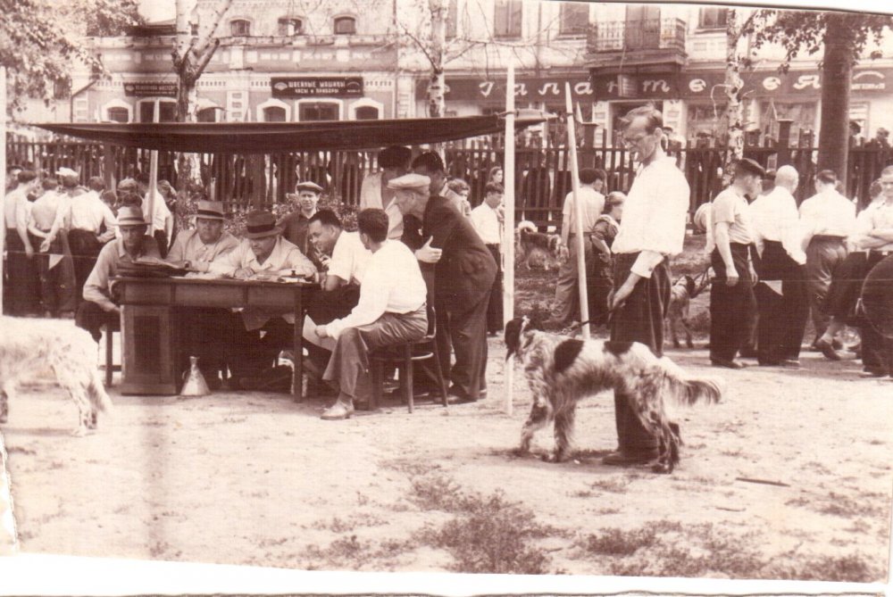 Выставка охотничьих собак Томска. 1955 год. Набережная р.Ушайки.