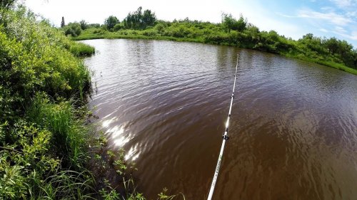 Рыбалка летом. Ловля щуки на озере.