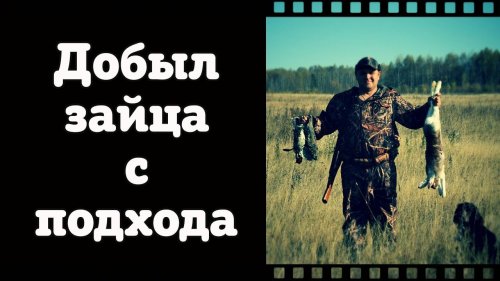 Вот как должен работать русский охотничий спаниель!)))