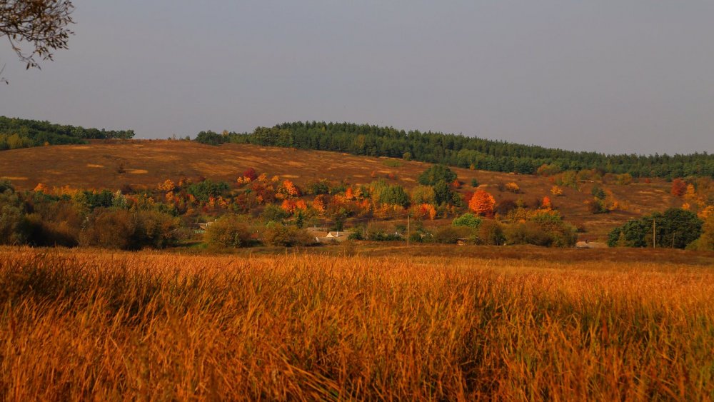 Стою в Белгородской, а вижу Курскую область