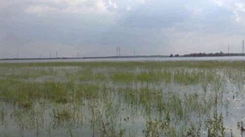 Заметка о рыбалке  Приобье 2015