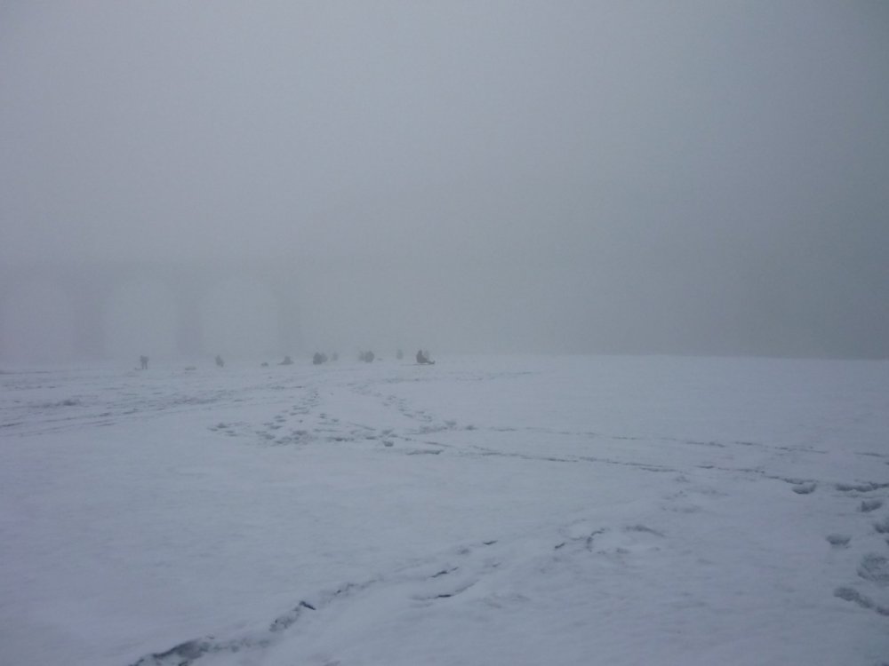 "пингвины" в тумане.........