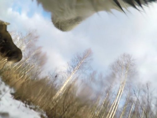 Видео Видео
