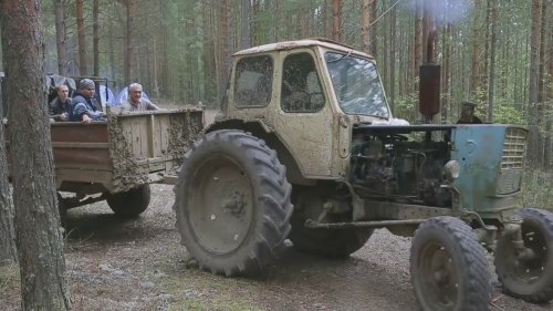 Xозяева тайги - Итоги 2017 года.