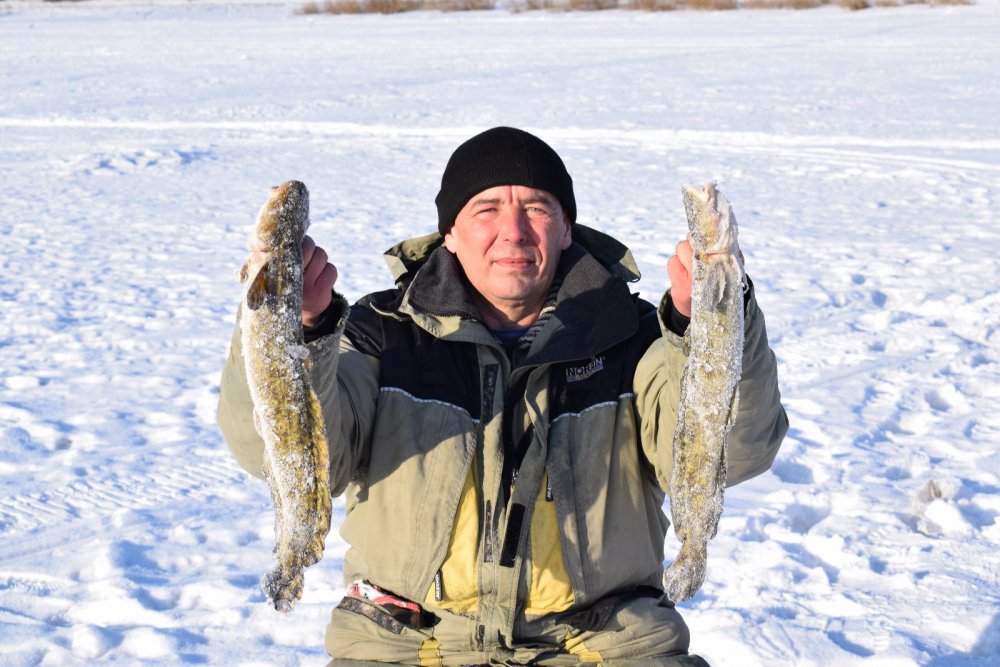 На жарёху к дню рождения!