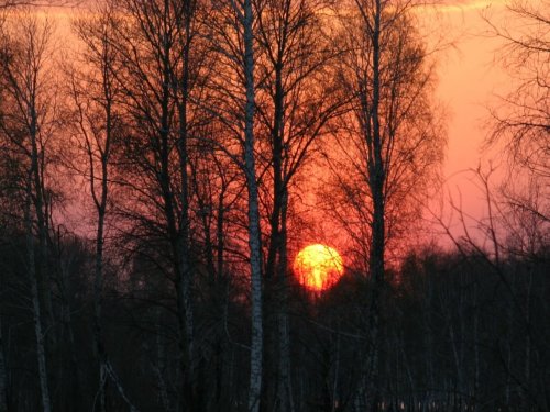 Весна охотника, как образ мысли.