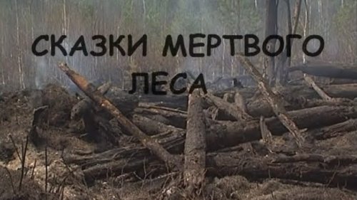Сказки мёртвого леса. С чистого листа.