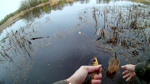 ЛОВЛЯ ПРОБКОЙ , ВЕСЕННЯЯ РЫБАЛКА .