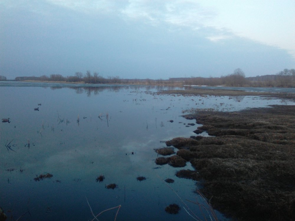 скоро,на всех водоёмах