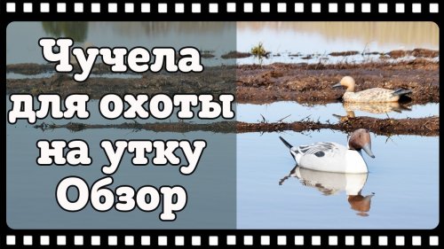 Отличные чучела уток для охоты из пенопласта, обзор и отзыв владельца.