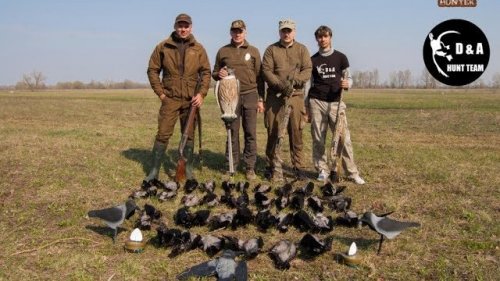 Охота на серую ворону с чучелами и филином 2018.Crow hunting in Ukraine.