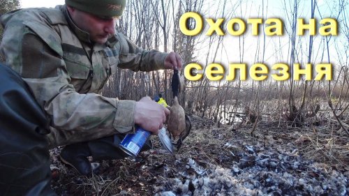 Охота на селезня 2018.