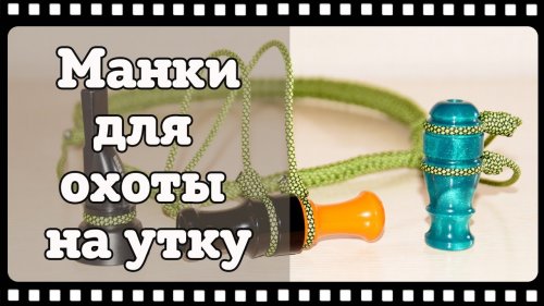 Манок на утку. С чего начать, как преуспеть в утиной охоте