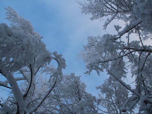 Первый выстрел