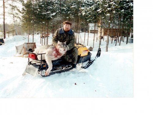 Хардикова заимка, после охоты на волков. 1999 год.