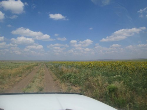 Приятное закрытие.