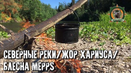 Таёжные приключения/Попали на жор хариуса/Блесна Меппс