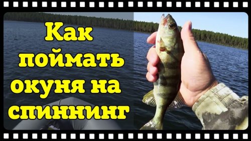 Бешенный клёв окуня на "Поганом" озере. Как поймать окуня на спиннинг.