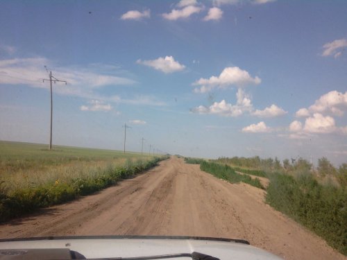 После сурков. " Про плантатора Юру и о некоторых фразах..."