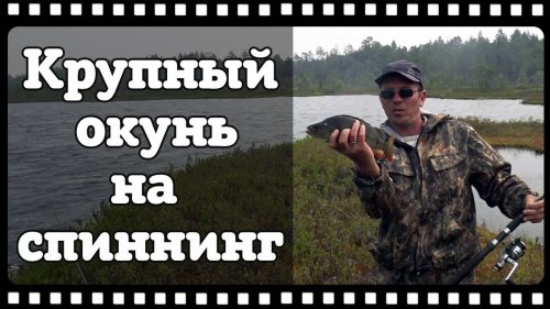 Ловля крупного окуня на спиннинг. Рыбалка на таёжных озёрах.