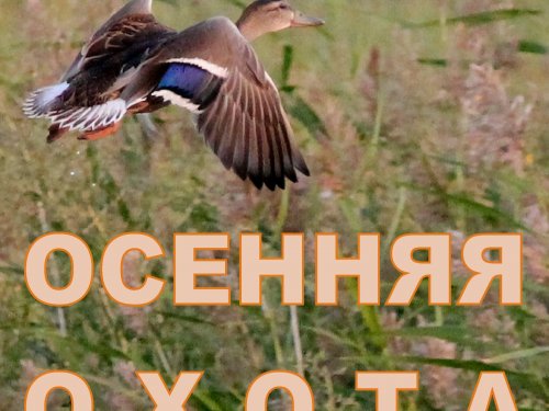Открытие осенне-зимнего сезона охоты 2018 года в Красноярском крае