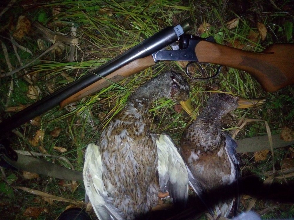 Дубль!