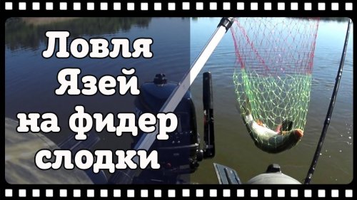 Язь на фидер с лодки. О том как дядя Юра всех обловил.