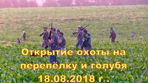 Открытие охоты на перепёлку и голубя 18 08 2018 г  Часть № 1