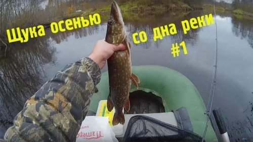 Щука осенью Pike in the fall