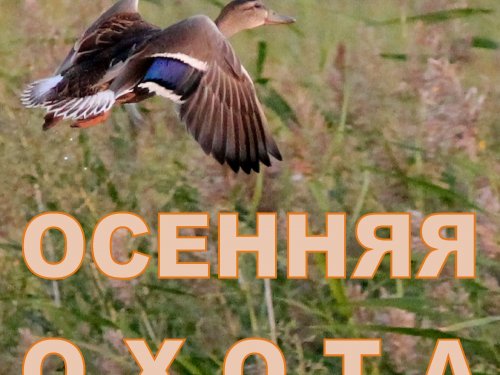 Открытие осенне-зимнего сезона охоты 2018 года в Кемеровской области