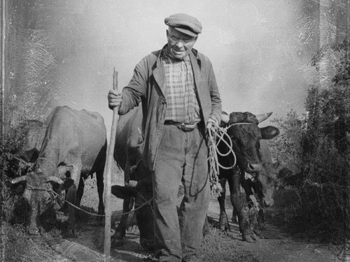 Житейская история.