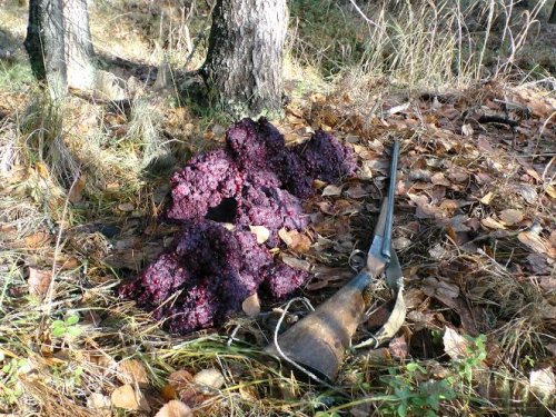 В здоровом теле, здоровый дух.