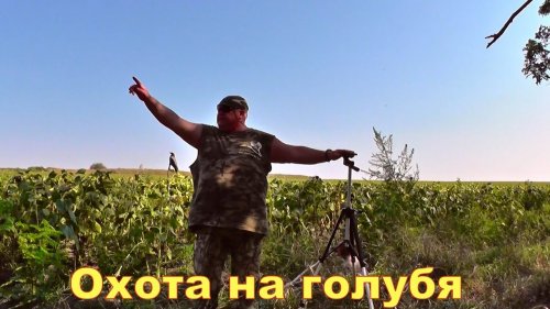 СКОРО на канале  Открытие охоты продолжение Часть № 2  Голубь