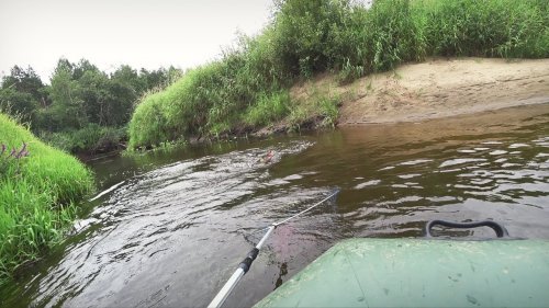 Хороший боец на лесной речушке. Чуть лодку не утащил)