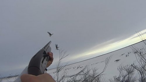 Охота на гуся 2018\ Охота на Крайнем Севере\ Goose hunting\ Hunting in North.