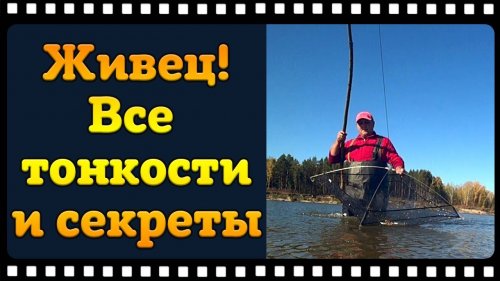 Как поймать много живца и сохранить его длительное время.