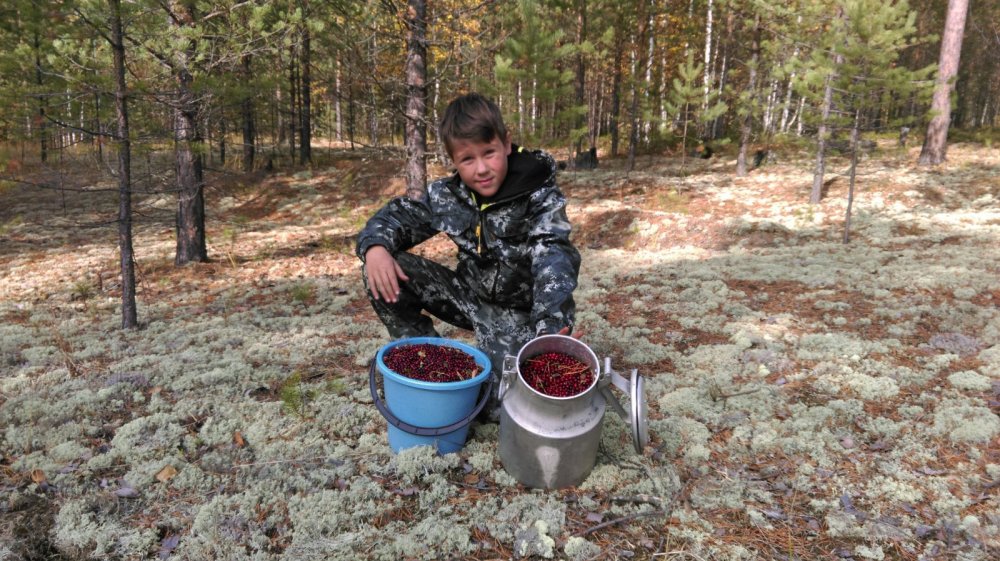 На боровой охоте