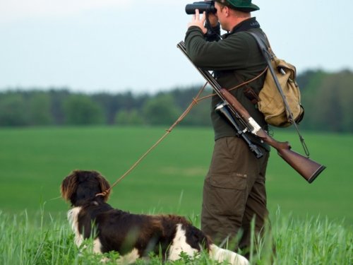 Типичная охота в Германии.