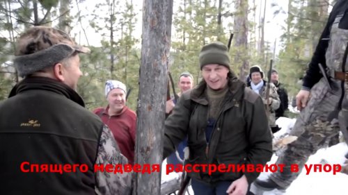 Как губернатор Левченко медведя убивал