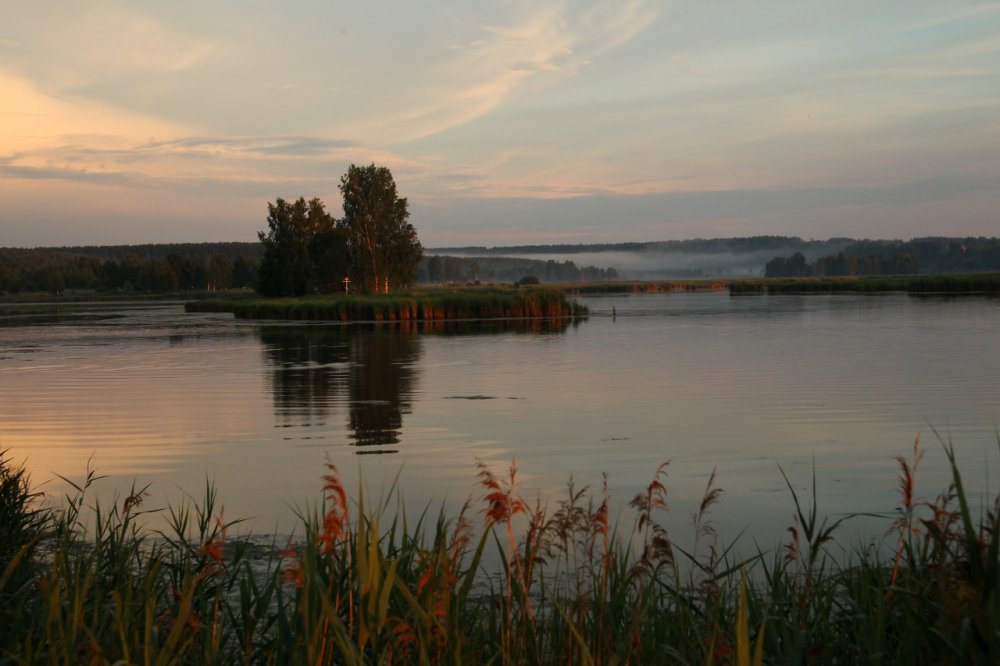 Наши, нижегородские виды