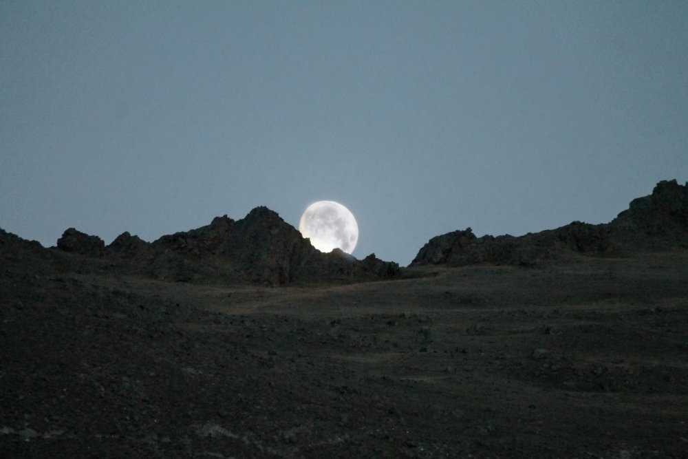 Восход луны в марте. Восход Луны. Охотничья Луна фото. Луна охотится. Восход Луны из арамидного волокна.