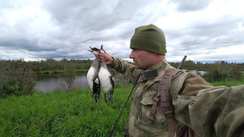 Охота на утку!!! 2018. Охота с подхода.