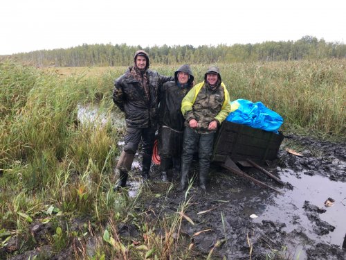Вот такая нынче охота.)))