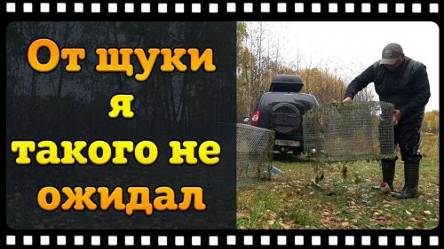 Ловля щук вместо карасей Финскими Катисками.