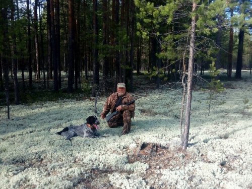 Гуляем по беломошникам.