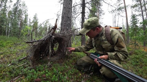 Один в тайге. Встреча с лосем. Охота на рябчика и утку. Быт у костра.