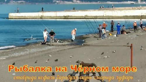 Рыбалка на Чёрном море ставрида кефаль барабуля окунь смарида  луфарь !!!