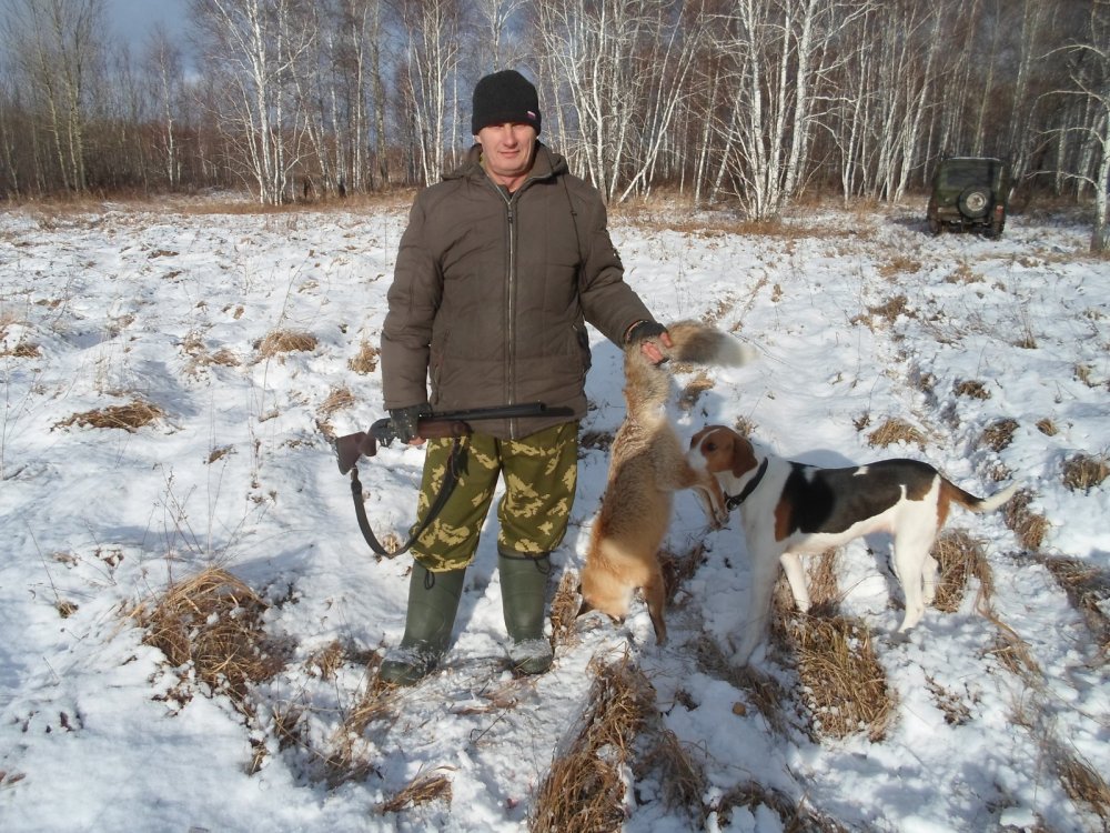 Взяли плутовку!
